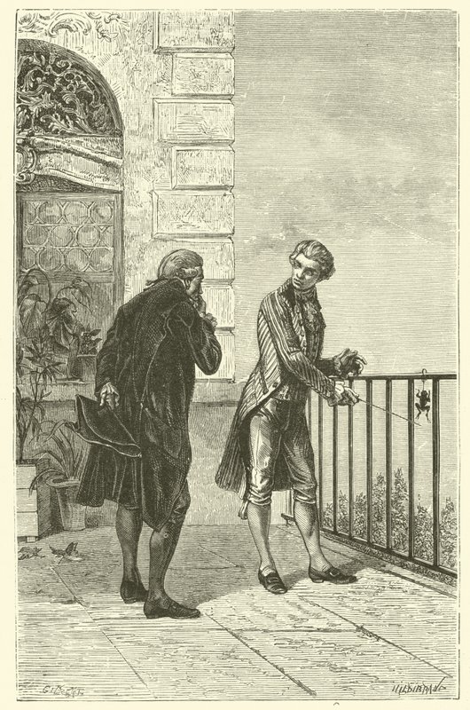 The Frog of Galvani by French School