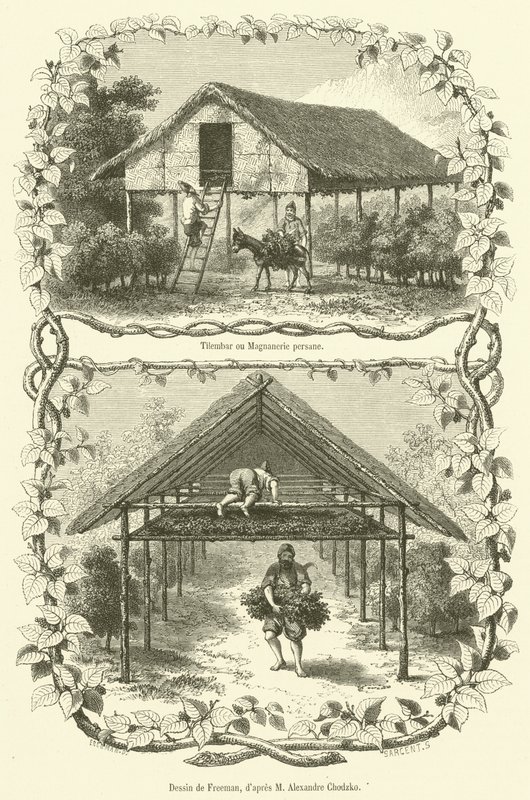 Tilembar or Persian Silkworm House by French School