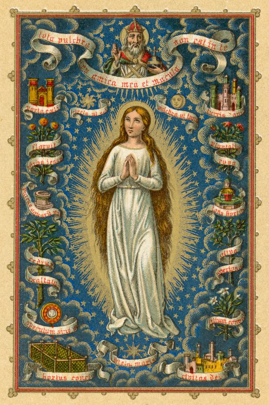 Immaculate Virgin by French School