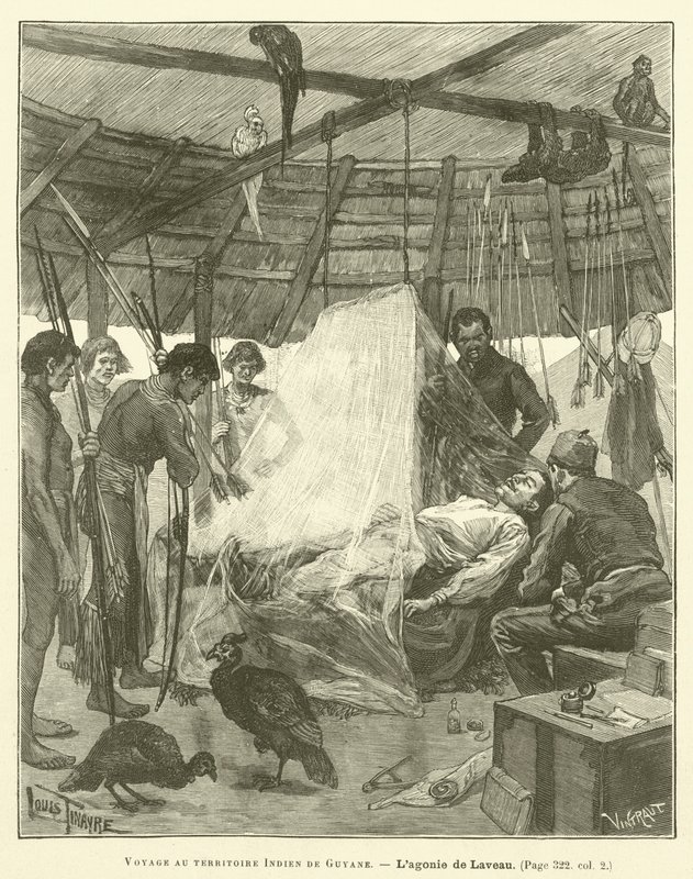 Journey to the Indian Territory of Guyana (engraving) by French School