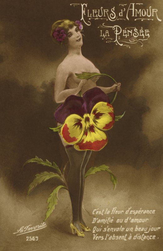 Woman Dressed in Pansies by French School