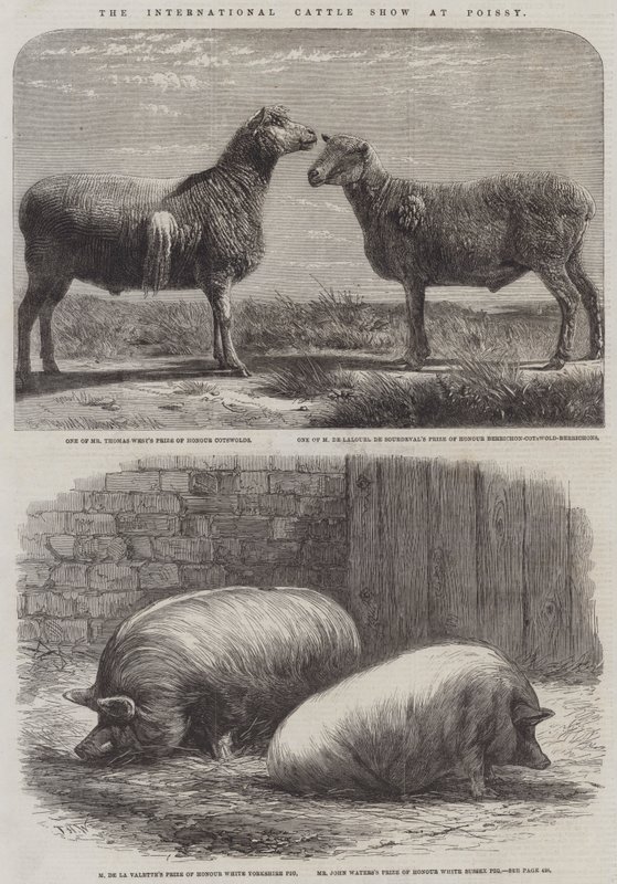 The International Cattle Show at Poissy by Friedrich Wilhelm Keyl