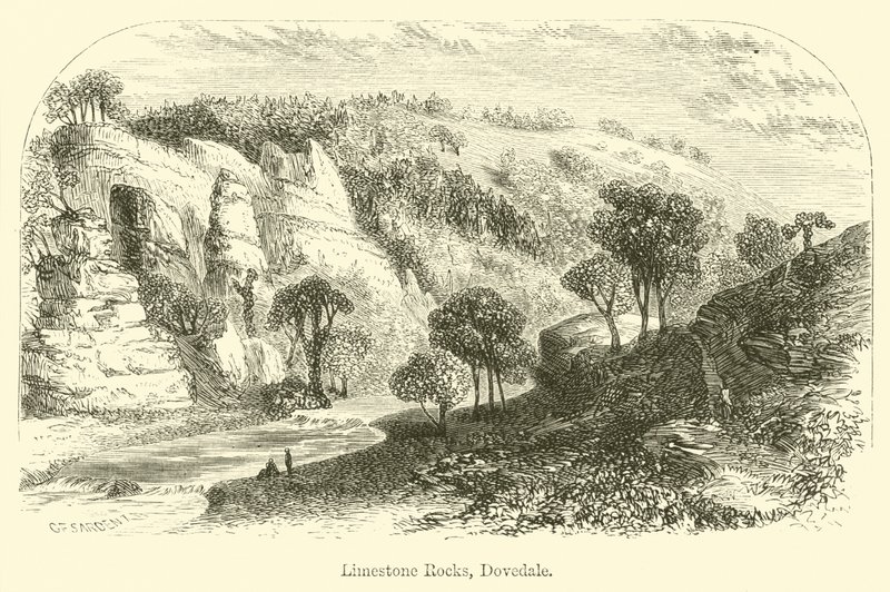 Limestone Rocks, Dovedale by G. F. Sargent