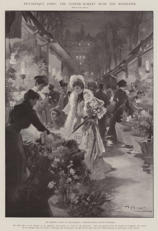 Picturesque Paris, the Flower Market Near the Madeleine by G.S. Amato