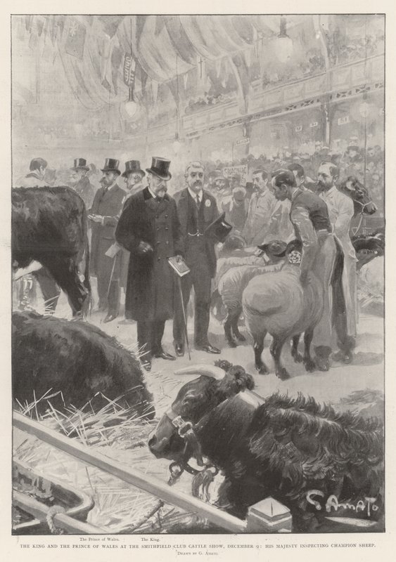 The King and the Prince of Wales at the Smithfield Club Cattle Show, 9 December, His Majesty Inspecting Champion Sheep by G.S. Amato