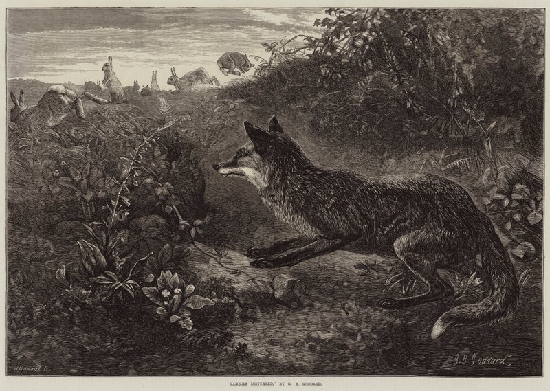 Gambols Disturbed by George Bouverie Goddard