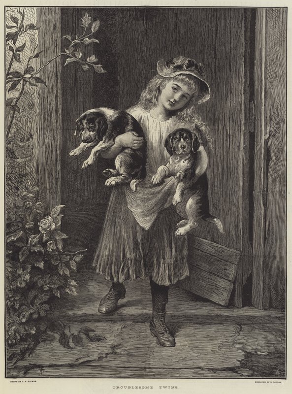 Troublesome Twins by George Augustus Holmes