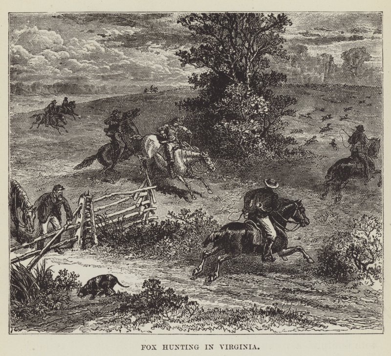 Fox Hunting in Virginia by George Augustus Sala