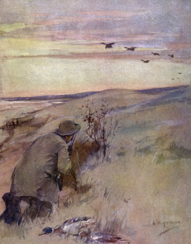 Wild fowling: flighting by George Denholm Armour