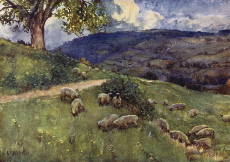 A Cotswold Sheep Pasture by George Franck Nicholls