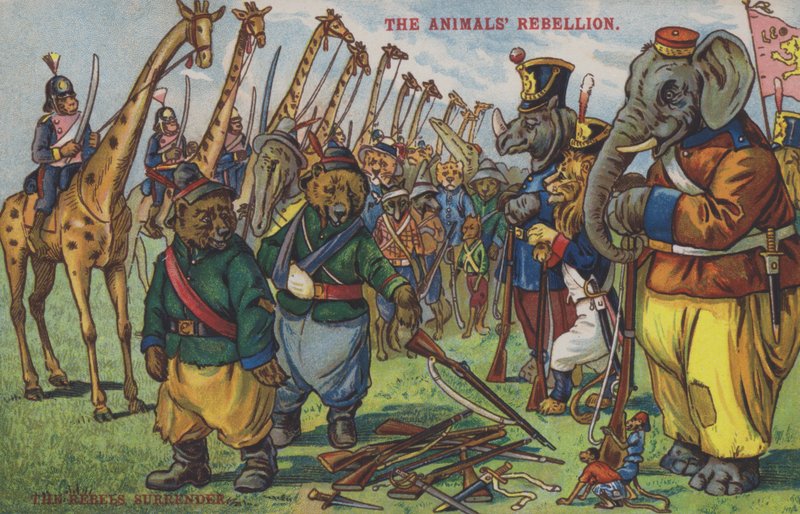 The Animals