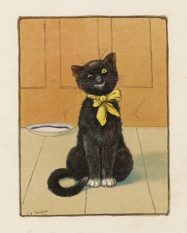 The Cat by George Henry Thompson