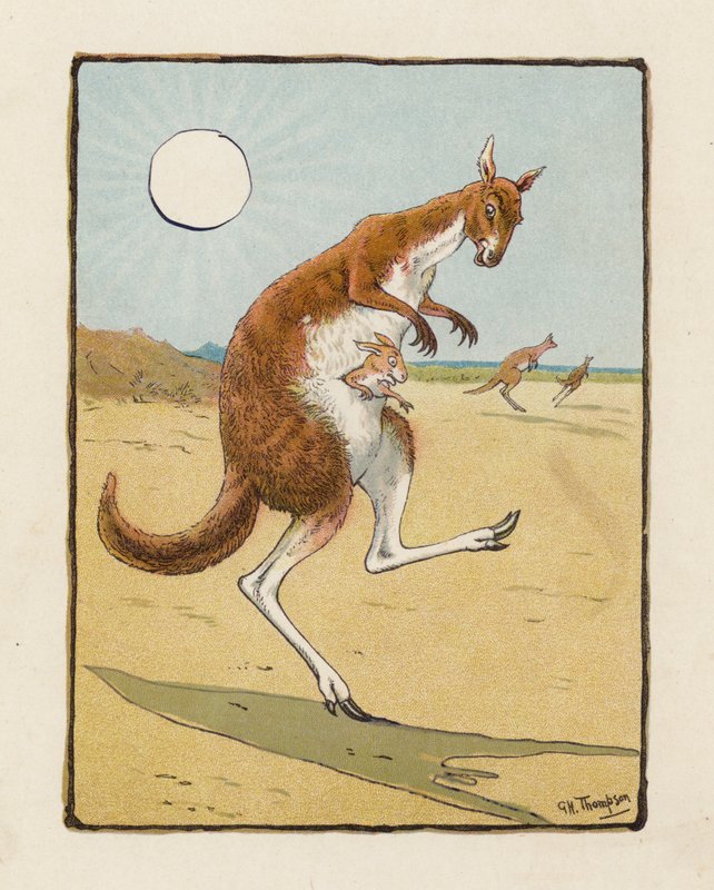 The Kangaroo by George Henry Thompson