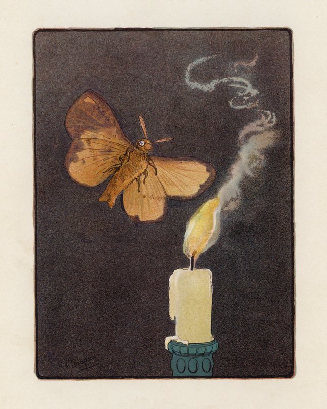 The Moth by George Henry Thompson