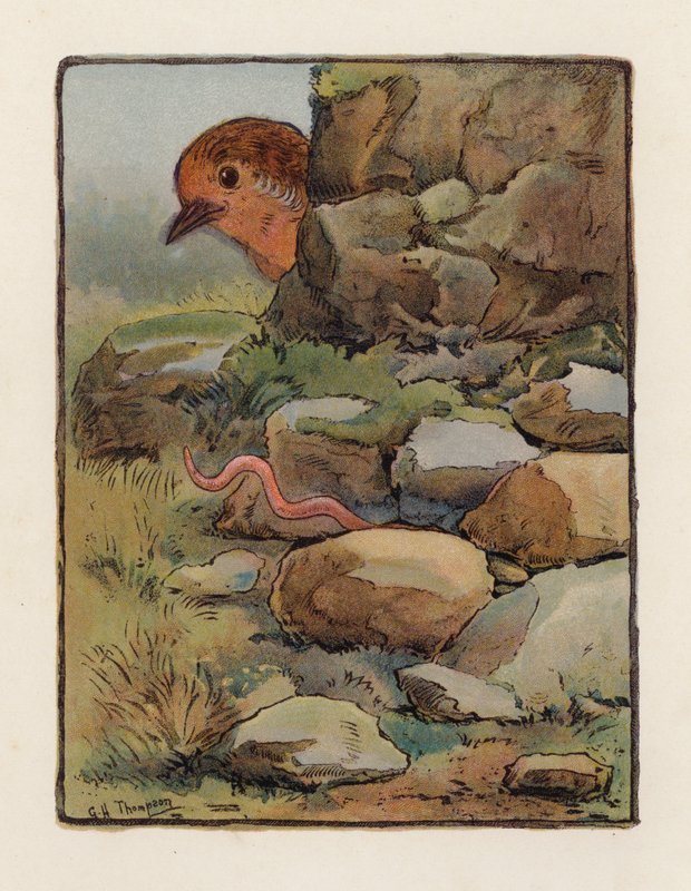 The Worm by George Henry Thompson
