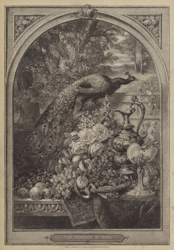 The Peacock at Home by George Lance
