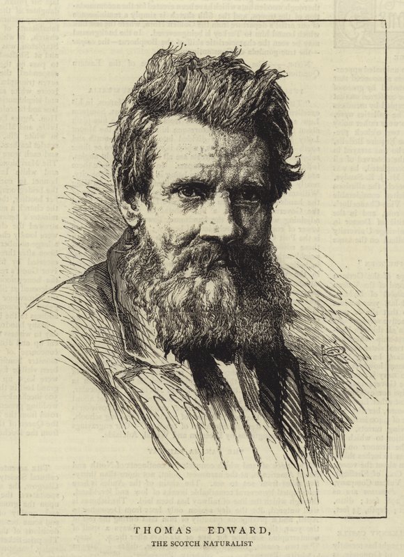 Thomas Edward by George Reid