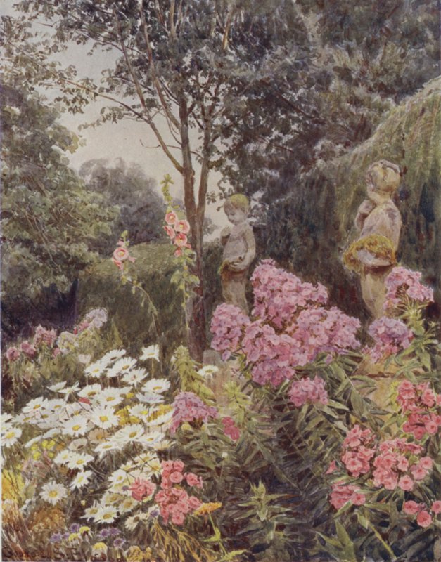 Phlox and Daisy by George Samuel Elgood