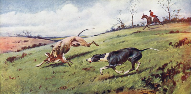 Coursing by George Wright