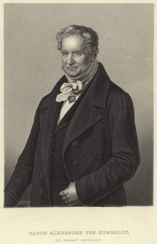 Alexander von Humboldt by German School