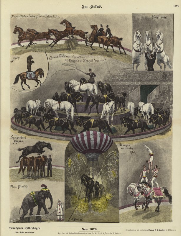 At the Circus by German School