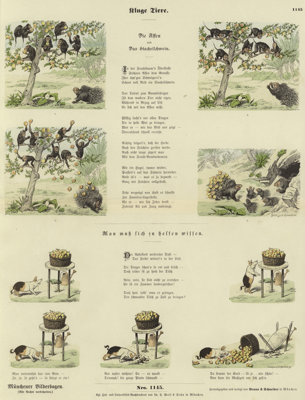 Clever Animals by German School