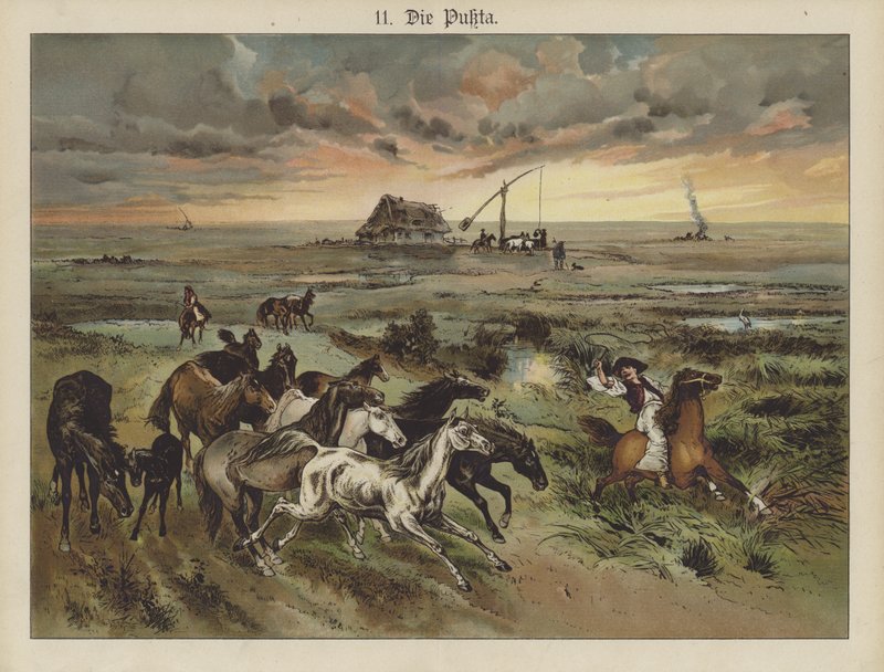The Pukta by German School