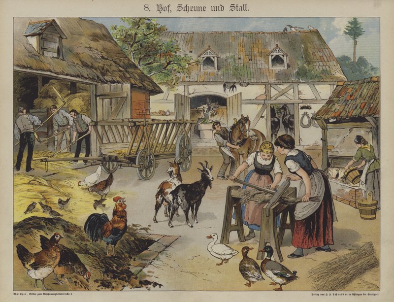 Farm by German School