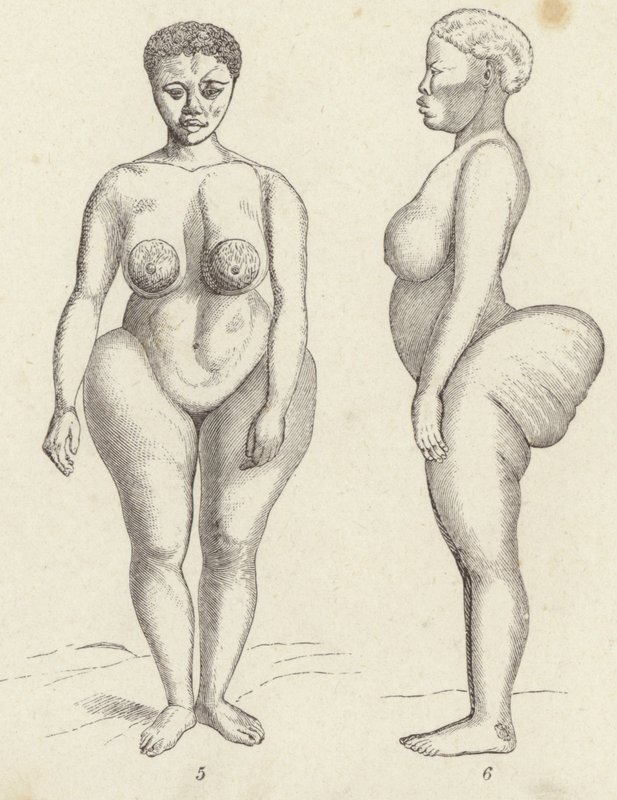 Hottentot Venus by German School