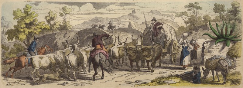 Italian Country Road (Coloured Engraving) by German School