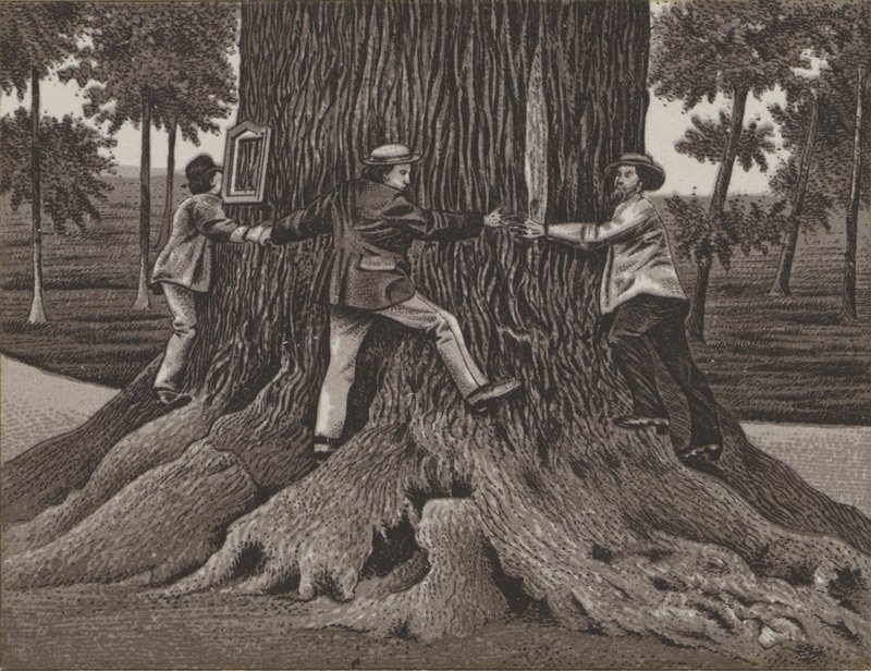 Korner Oak at Dallwitz by German School