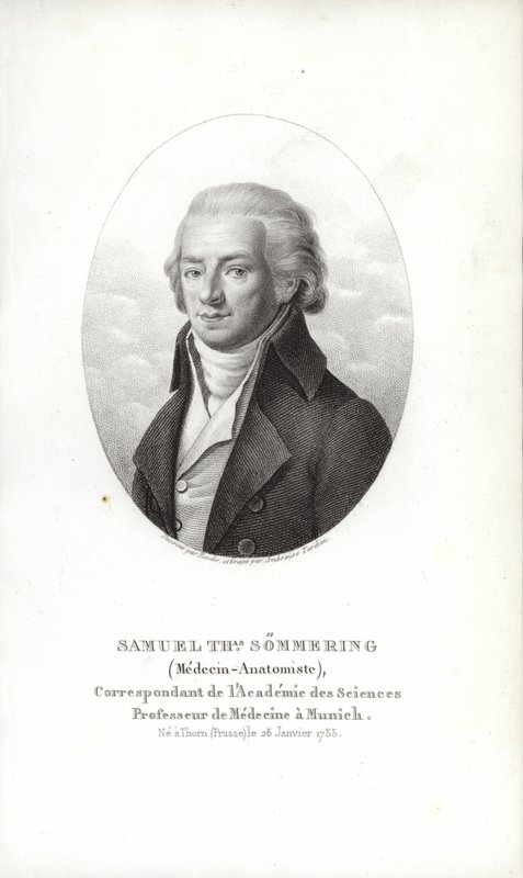 Samuel Thomas von Sömmerring by German School