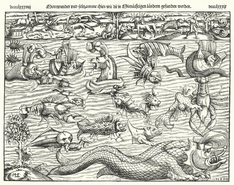 Sea Creatures (engraving) by German School