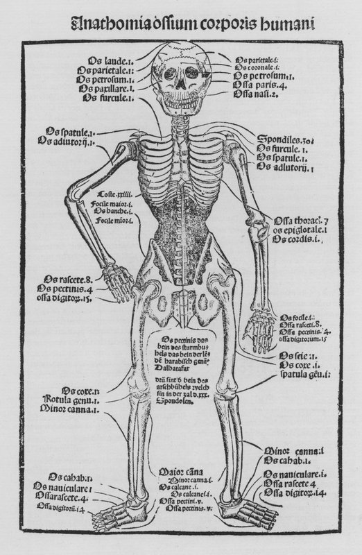 The Book of Cirurgia by Hieronymus Brunschwig by German School
