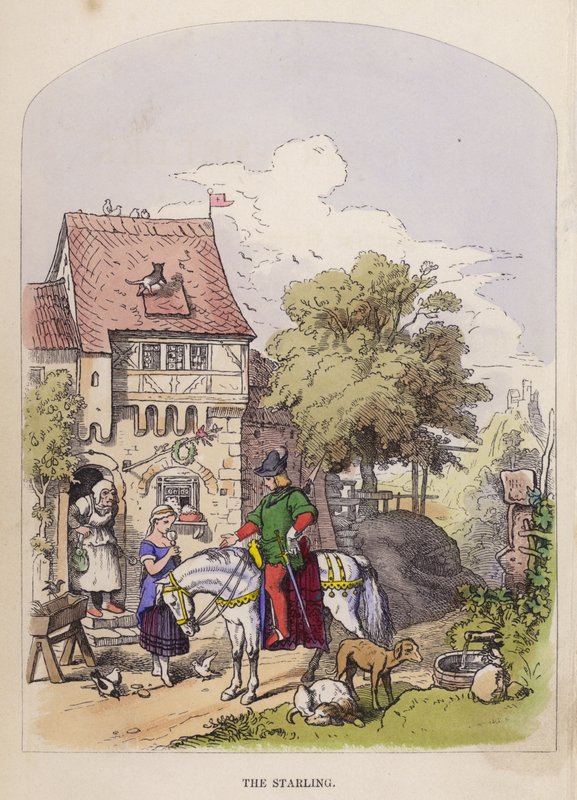 The Starling by German School