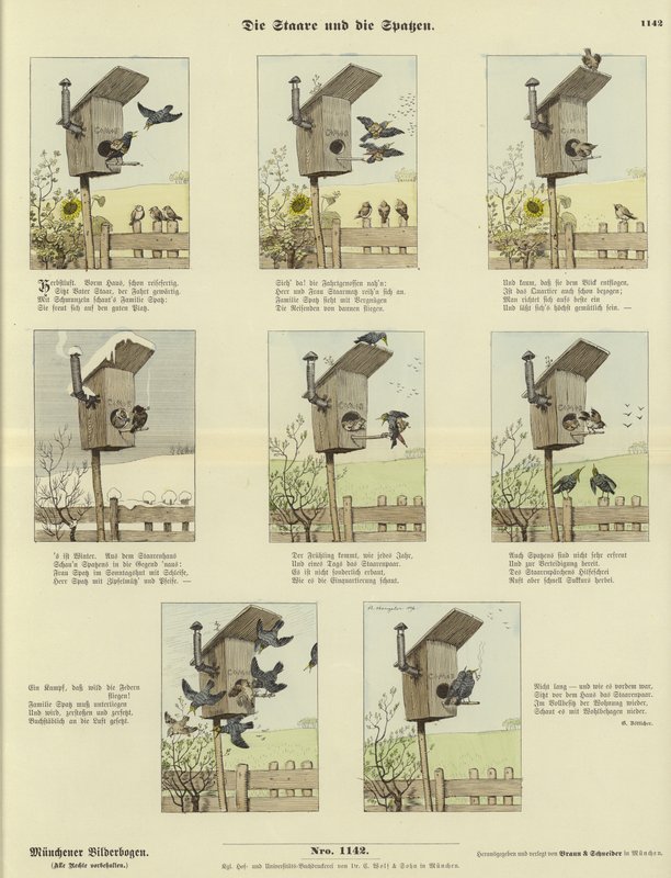 The Starlings and the Sparrows by German School