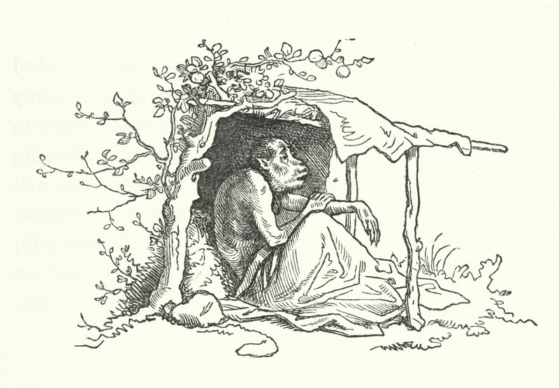 The Two Apes by German School