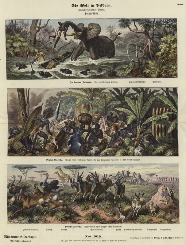 The World in Pictures: German Africa by German School
