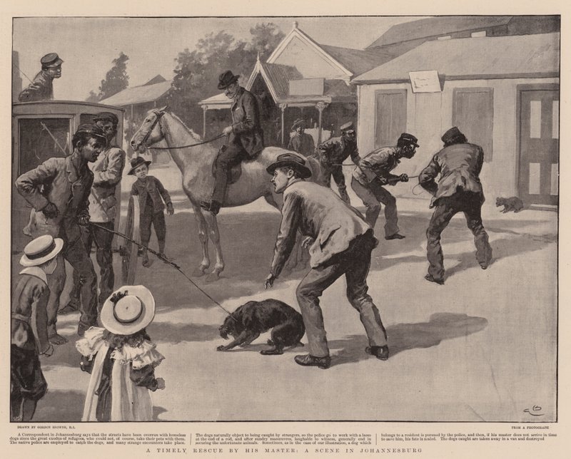 A Timely Rescue by his Master, a Scene in Johannesburg by Gordon Frederick Browne