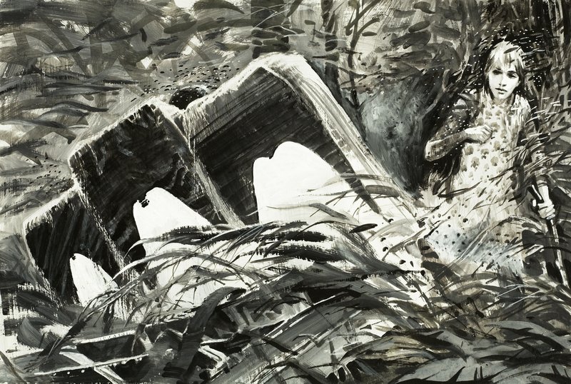 Survival: Lost in the Jungle by Graham Coton