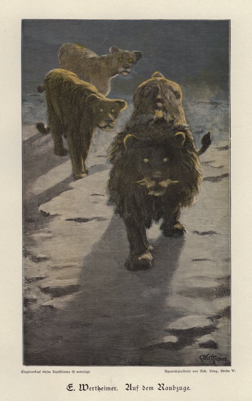 On the Raid by Gustav Wertheimer