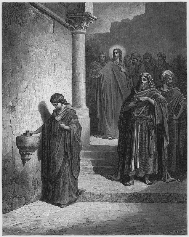 The Widow