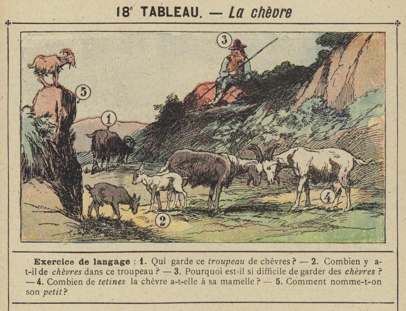 The Goat by Gustave Fraipont