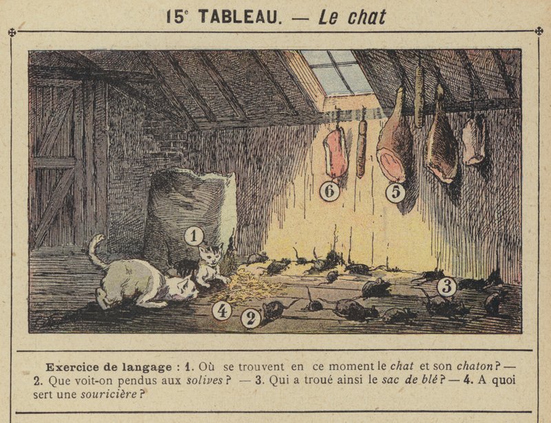The Cat by Gustave Fraipont