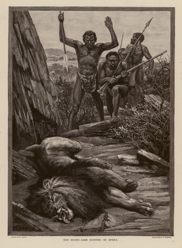 Lion Hunting in Africa by H. Dixon
