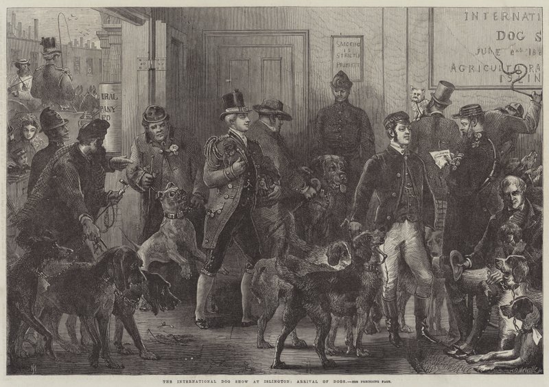The International Dog Show at Islington, Arrival of Dogs by Harden Sidney Melville