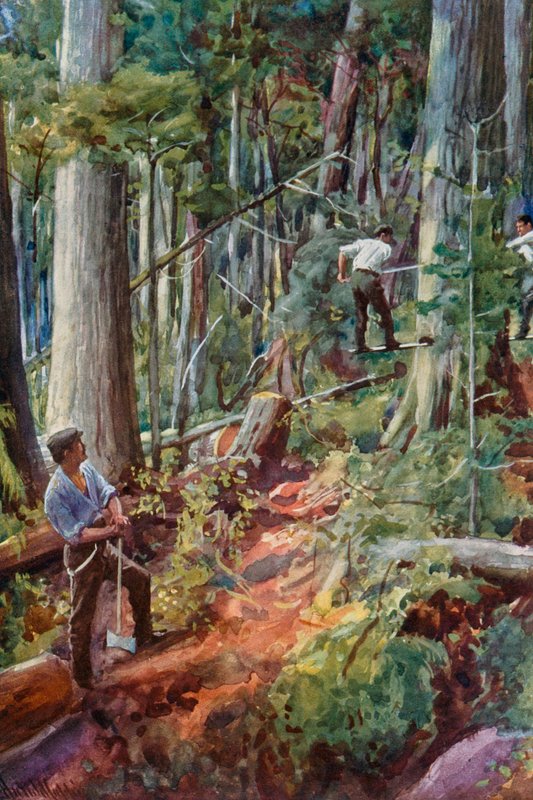 Lumbering in British Columbia by Harold Copping