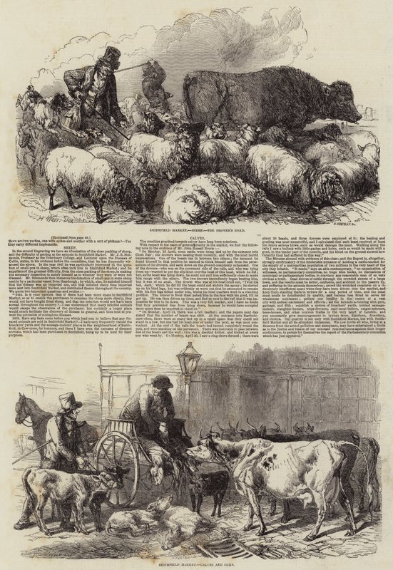 Smithfield Market by Harrison William Weir