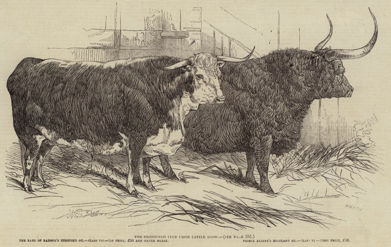 The Smithfield Club Prize Cattle Show by Harrison William Weir