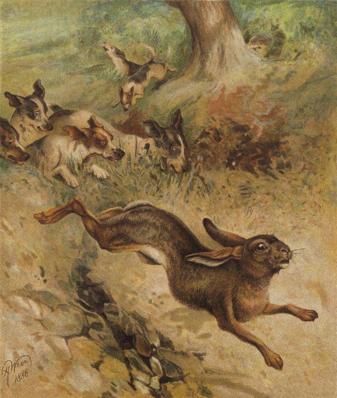 A Run for Life by Harrison William Weir